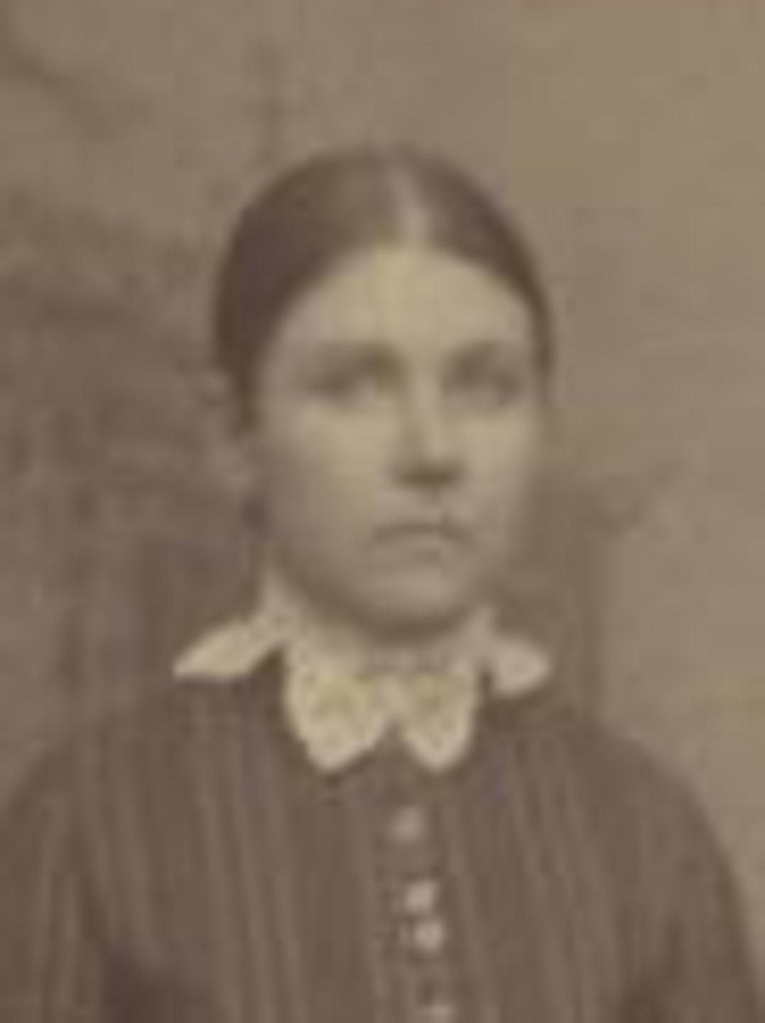 Harriet Louisa Harper (1859 - 1922) Profile